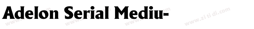 Adelon Serial Mediu字体转换